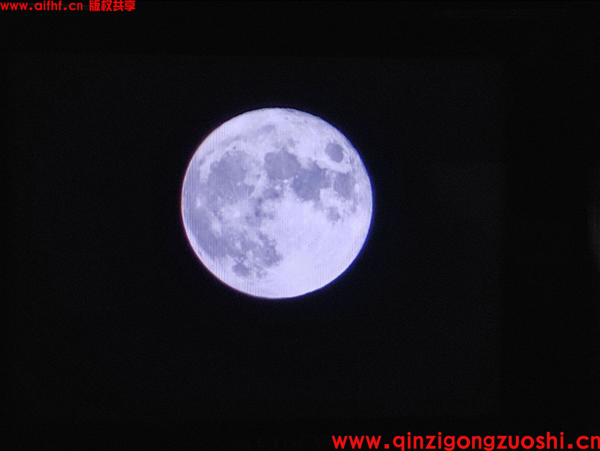 1-230F62051011V.jpg