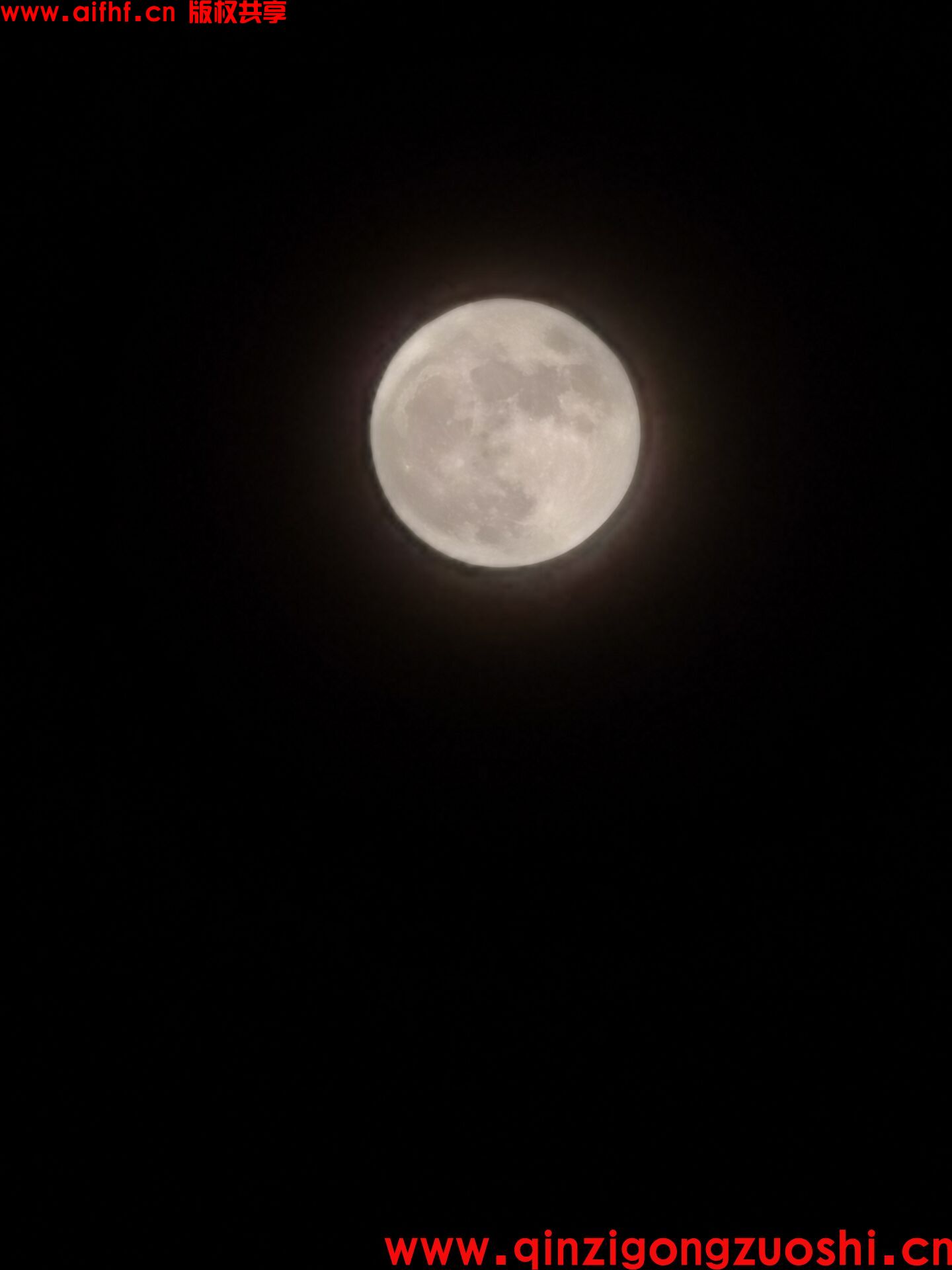 1-230F6205103O5.jpg