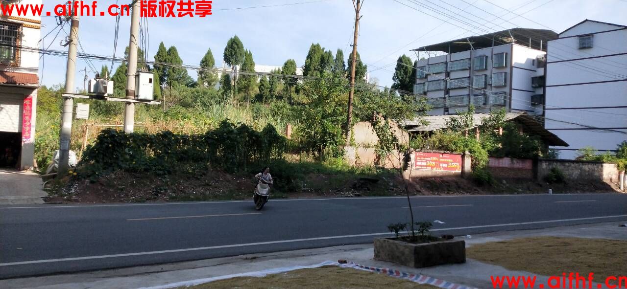 登月的猫:等车出发中