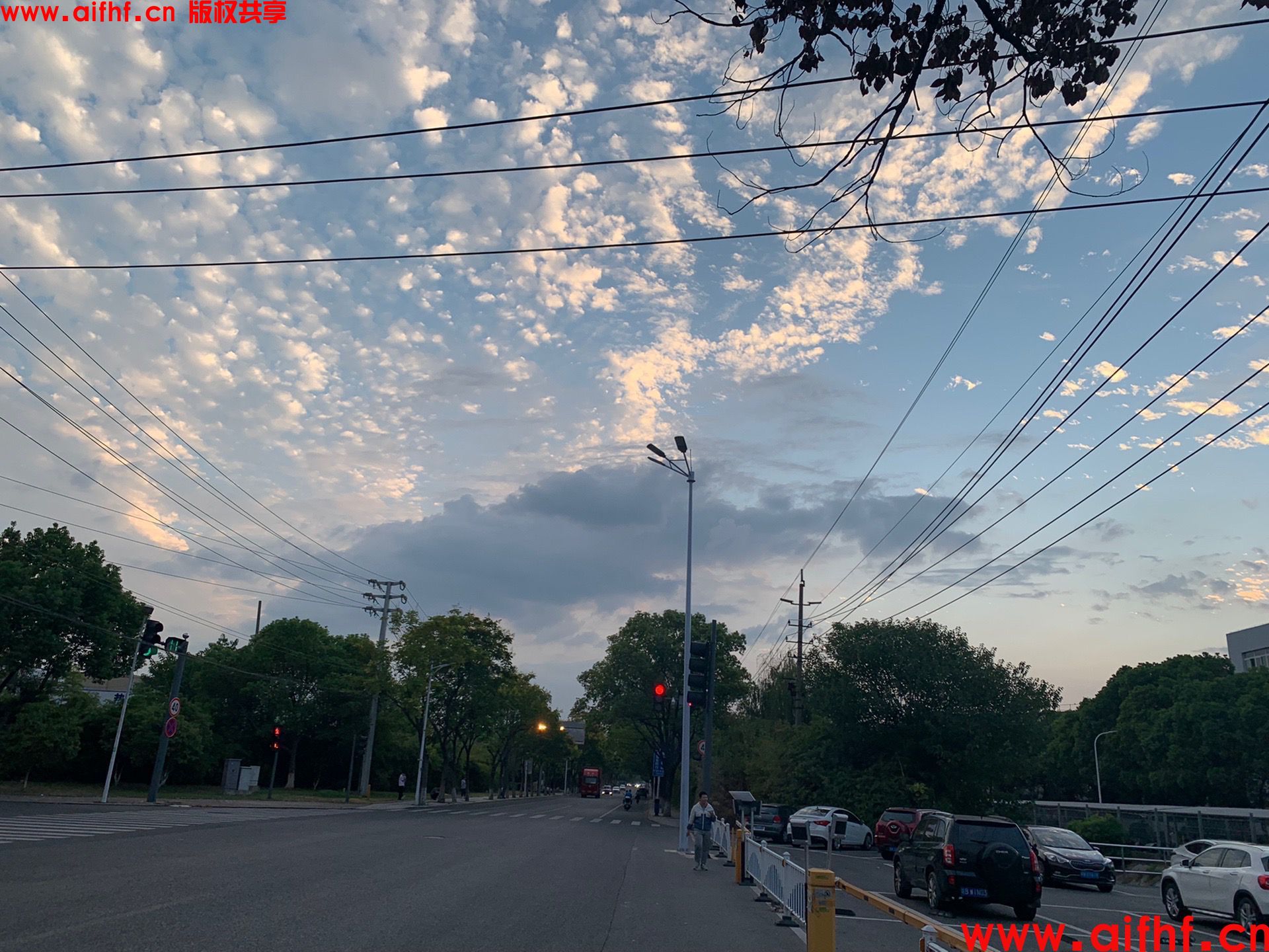 徐先森 :万云奔腾