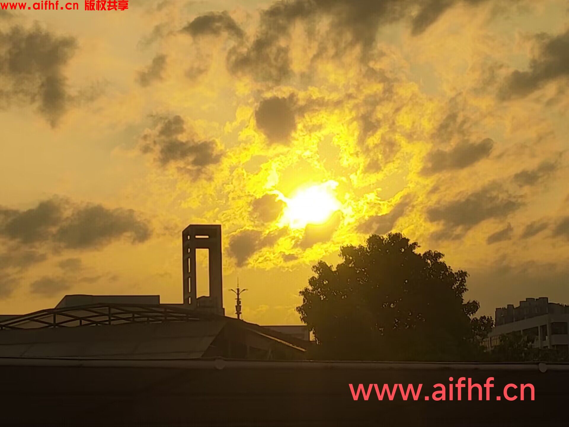 小恐龙嗷:希望就像黄金之光一样闪烁